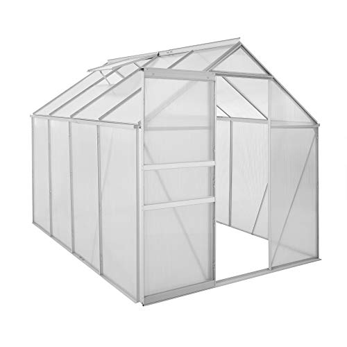 Zelsius Aluminium Gewächshaus für den Garten | 250 x 190 cm | 6 mm Platten | Vielseitig nutzbar als Treibhaus, Tomatenhaus, Frühbeet und Pflanzenhaus von Zelsius