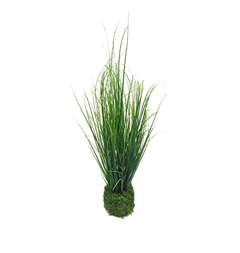 Grasbusch mit Ballen Gras Ziergras Kunstpflanze Dekopflanze H 50 cm 52653 F42 von Ziegler