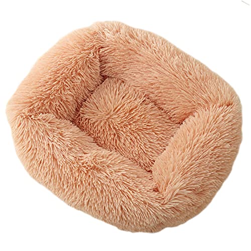 Beruhigendes Hundebett groß waschbar kuschelig Plüsch warm bequem Haustierbett rechteckig weich tiefer Schlaf Hundebett für kleine mittel große große Hunde (S, 55 x 45 x 20 cm, Champagner) von Zoomlie