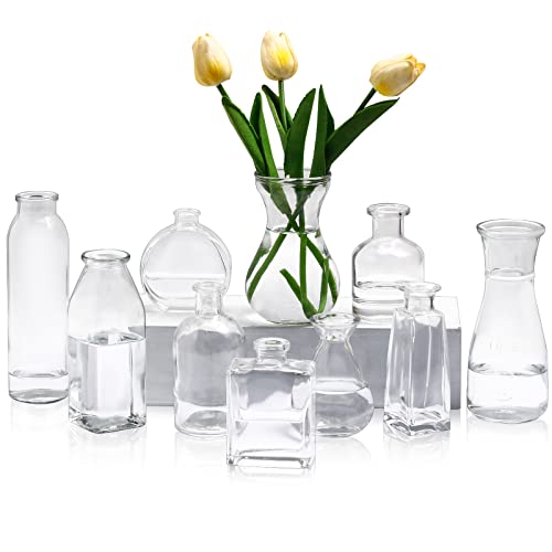 10 Stück Glas Knospenvasen Set, Mini Bulk Klare Kleine Blumenvasen für Mittelstück Blumensträuße Haus Tisch Deko Hochzeit Braut Party Dekorationen von Zopeal