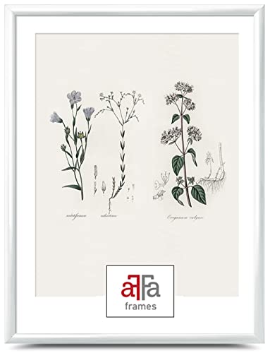 aFFa frames Plastik Bilderrahmen Elegantes stilvolles klassisches Design Geeignet für Bilder Poster Diplome Abschlusszeugnisse 40x50 cm Farbe Weiß von aFFa frames