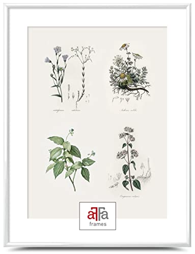 aFFa frames Plastik Bilderrahmen Elegantes stilvolles klassisches Design Geeignet für Bilder Poster Diplome Abschlusszeugnisse 40x60 cm Farbe Weiß von aFFa frames