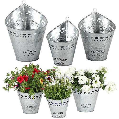 albena shop ELLI 3er Set Pflanztöpfe aus robustem Zink sind vielseitig einsetzbar. Ob als Hängetopf, Übertopf oder dekorative Vase – sie verleihen deinem Garten eine besondere Note von albena shop