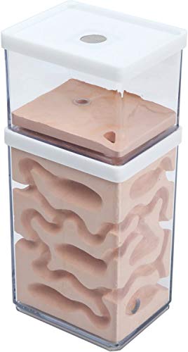 aleawol Natürliche Ameisenfarm Ameisennest Formicarium aus Gips Transparentes Ameisenhaus Ameisen Zucht Box Ameisen Terrarium Ant House Ant Farm Ant Nest Habitat von aleawol