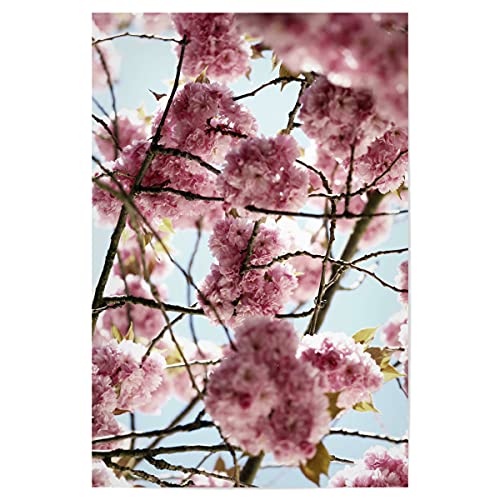 artboxONE Poster 45x30 cm Natur Kirschblüte Pastell Rosa hochwertiger Design Kunstdruck - Bild blüte blüte botanik von artboxONE