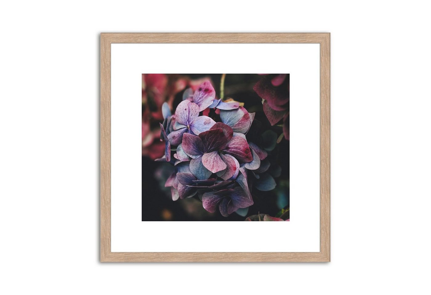 artissimo Bild mit Rahmen Bild gerahmt 30x30cm / Design-Poster inkl. Holz-Rahmen / Wandbild, Blumen: Lila Blüten I von artissimo