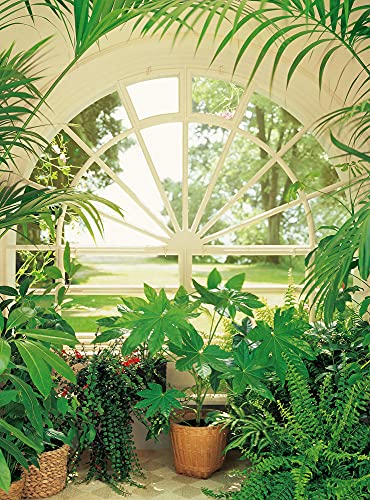 Fototapete 3D-Effekt Pflanzen Fenster Fensterblick Schlafzimmer Wohnzimmer | 1,92 m x 2,6 m | Grün, Weiß, Braun von awallo