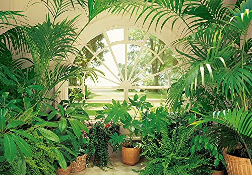 Fototapete 3D-Effekt Pflanzen Fenster Wohnzimmer Schlafzimmer | 3,66 m x 2,54 m | Grün, Weiß von awallo