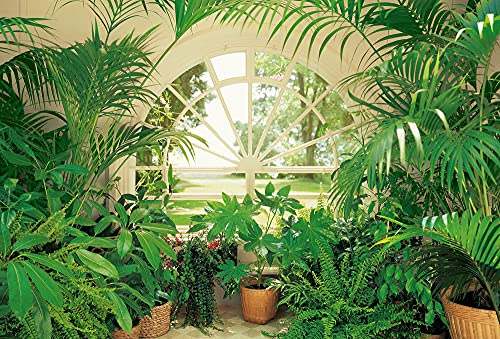 Fototapete 3D-Effekt Pflanzen Fenster Wohnzimmer Schlafzimmer | 3,84 m x 2,6 m | Grün, Weiß, Braun von awallo