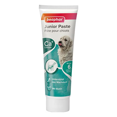 BEAPHAR - Junior Paste - Für Hunde Ab Der 6. Lebenswoche - Mit Omega 3 Und 6, Calcium - Für Starke Zähne Und Knochen - Unterstützt Das Wachstum - Mit Biotin - 100 g von beaphar