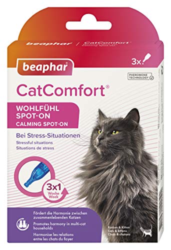 beaphar CatComfort Wohlfühl Spot-On, Beruhigungsmittel für Katzen mit Pheromonen von beaphar