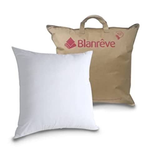 Blanrêve - Traditionelle Kissen – natürlich und umweltfreundlich, Milbenschutz, Fester Komfort – 60 x 60 cm von blanrêve