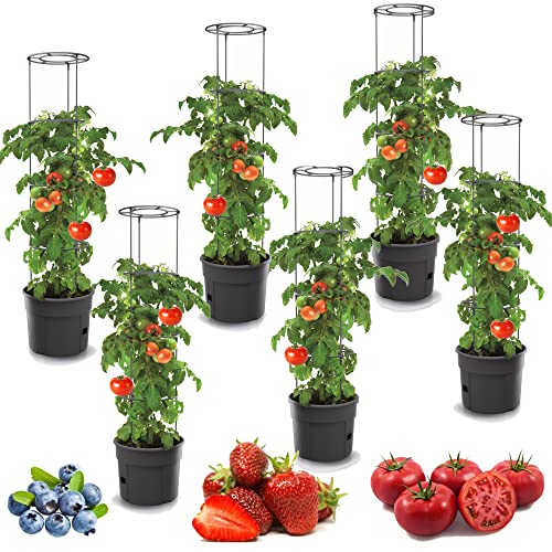 botle 6X Tomatenpflanze Blumentopf für Tomaten Set 6 STK Pflanzkübel 12 L, Tomatenzüchter, Tomatentopf, Übertopf, Gemüsen, Tomaten Waschen von botle