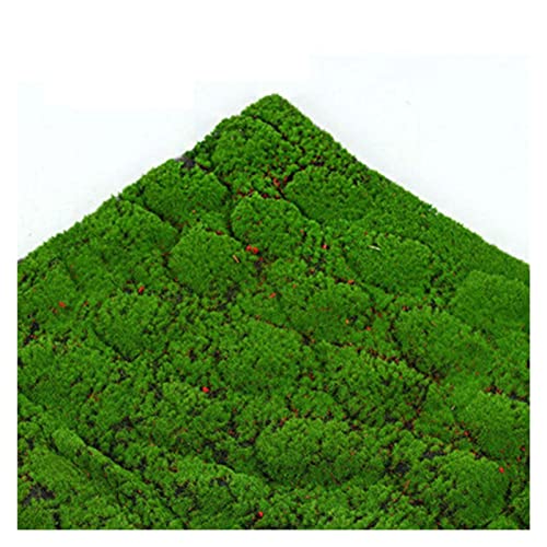 bujnie Realistischer Moosgras-Teppich Miniatur Moos Deko Rasen Gras Hochwertige Perlenbaumwolle Grüne Pflanze DIY Kunstrasen (Color : D, Size : 1x1m) von bujnie