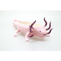 Super Süßer Axolotl, Tier Überpflanzen, Handgemachter Überpfer, Keramik Überpflanzung von coceramicsstudio