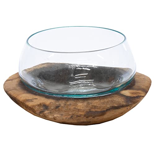 colourliving Dekoschale Dekoglas Glas auf Wurzelholz Vase 20 cm Snackschale Bonboniere Windlicht von colourliving