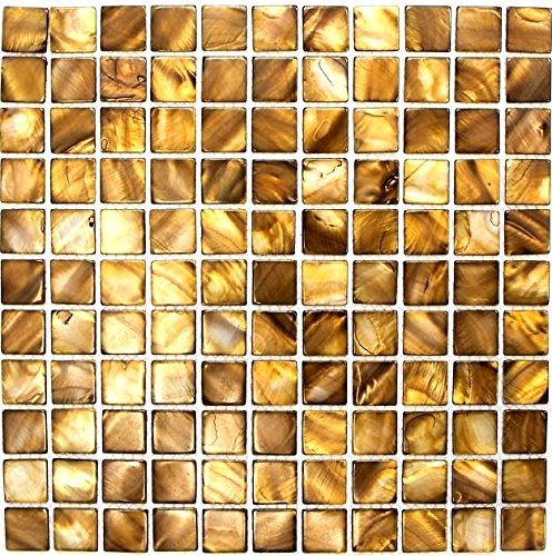 Mosaik Fliese Muschel beigebraun für WAND BAD WC DUSCHE KÜCHE FLIESENSPIEGEL THEKENVERKLEIDUNG BADEWANNENVERKLEIDUNG Mosaikmatte Mosaikplatte von conwire