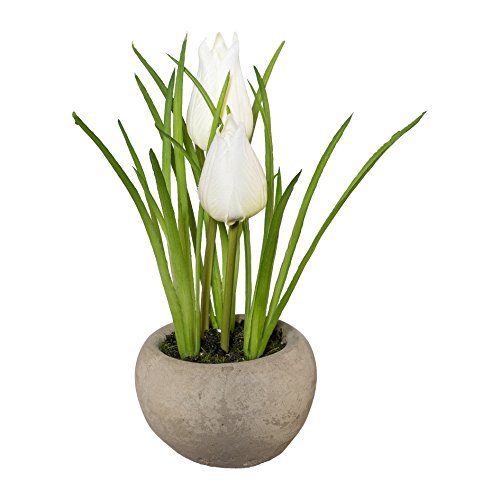 creativ home Kunstpflanze TULPE im Zementtopf. Ca 15 cm. Tulpen getopft. Weiss. von creativ home