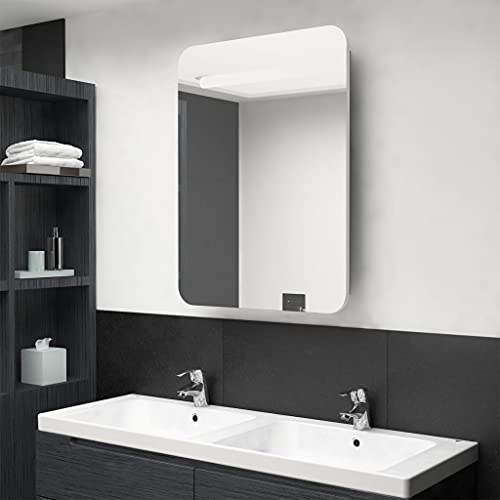 csderty Furniture Home Tools LED-Badezimmerspiegelschrank, Weiß und Eiche, 60 x 11 x 80 cm von csderty
