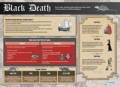 Daydream Education Geschichts-Poster „The Black Death“, Hochglanzpapier, 850 mm x 594 mm (A1), Klassenzimmer-Poster, Bildungstabellen (in englischer Sprache) von daydream