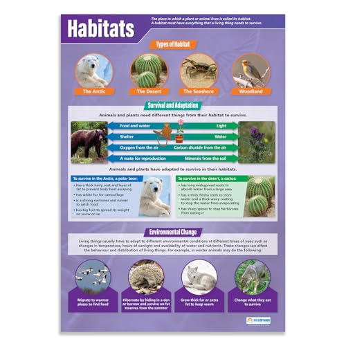 Habitats | Wissenschafts-Poster | Glanzpapier mit den Maßen 850 mm x 594 mm (A1) | Wissenschaftliche Diagramme für das Klassenzimmer | Bildungstabelle von Daydream Education von daydream