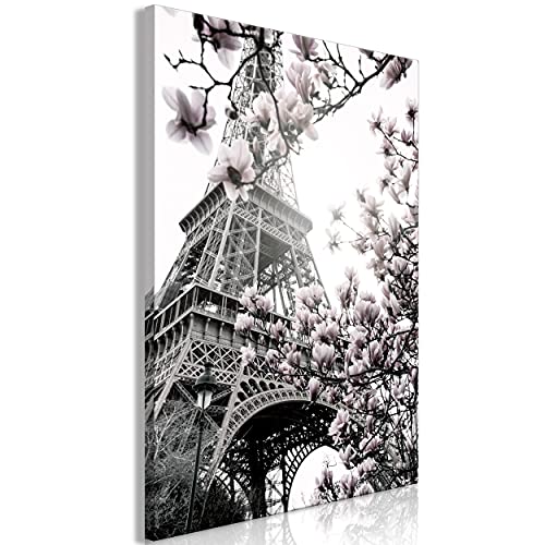 decomonkey Bilder Eiffelturm 40x60 cm 1 Teilig Leinwandbilder Bild auf Leinwand Vlies Wandbild Kunstdruck Wanddeko Wand Wohnzimmer Wanddekoration Deko Paris Magnolie Blumen von decomonkey