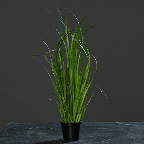 Grasbusch Gras Schilf Kunstpflanze Dekopflanze 45 cm getopft 56430-1 F68 von Ziegler