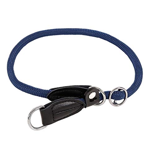 lionto Hundehalsband Retrieverhalsband Dressurhalsband, Länge 50 cm, blau von lionto