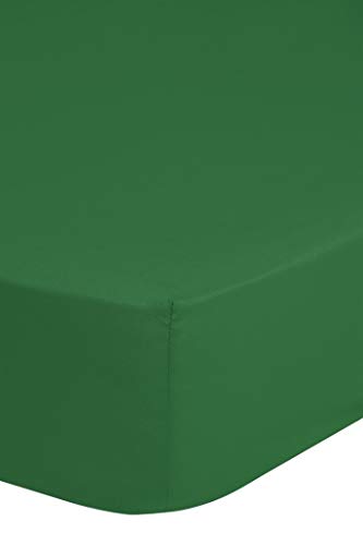 emotion Hoeslaken Katoen-Groen Maat: 160 x 200 cm, Grün, 160 x 200 cm von emotion