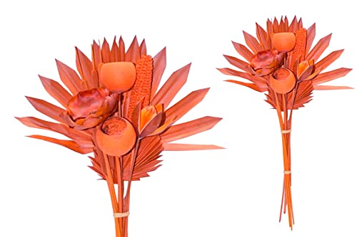 finehomegarden Exoten Sortiment 10-teilig Trockenblumen Strauß Boho Style Exotic Palmspeer orange 60cm Grabaufleger Trauerfloristik Allerheiligen Herbstdeko Totensonntag von finehomegarden