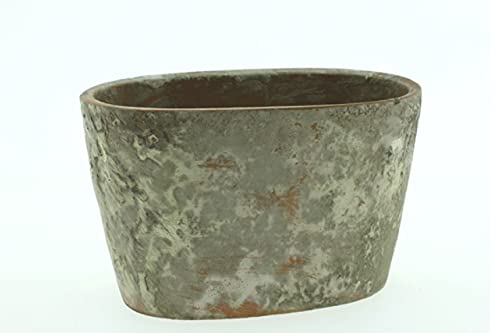 finehomegarden Topf MOOLA Jardiniere Zement Shabby Natur Übertopf Pflanztopf Ø21x10cm H11,5cm von finehomegarden