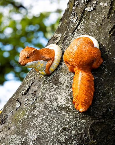 Garden Mile Baumhaus Verschiedene Neuheit Tier Baum Peeker Statuen – Garten Ornamente Outdoor Skulpturen für Hinterhof, Haus und Garten Dekor – Eichhörnchen 2 von garden mile
