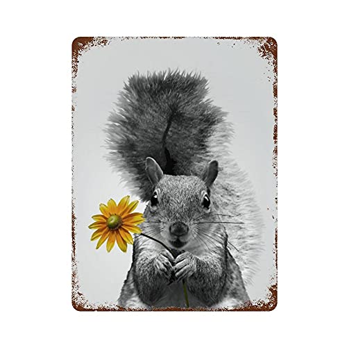 Retro Blechschild schwarz & weiß Eichhörnchen Druck Wald Kinderzimmer Wandkunst Tier Grafik Blume Wohnkultur Floral Metall Blechschild 40,6 x 30,5 cm von graman