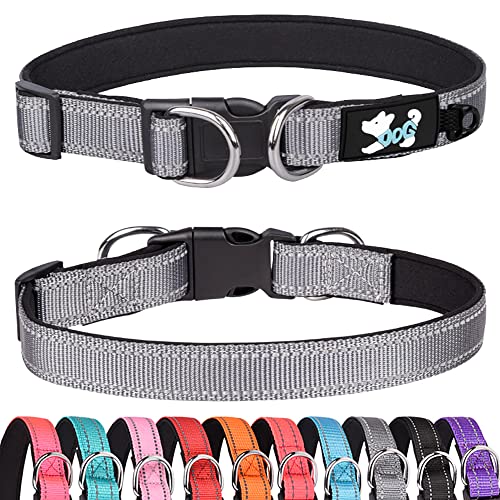 Haoyueer Gepolstertes Hundehalsband Reflektierende Hundehalsbänder für kleine, mittelgroße und große Hunde Bequemes weiches Neopren Verstellbar Basic Hundehalsbänder (S, Grau) von haoyueer