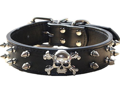 haoyueer Hundehalsband aus Leder mit Nieten, 2 Reihen Kugelnieten, PU-Leder – Cooles Totenkopf-Zubehör für mittelgroße und große Hunde (schwarz, M) von haoyueer