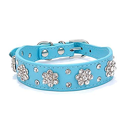 haoyueer Strass Hundehalsband, Süße Blume Strass Katze Hundehalsband Bling Halsband PU Leder Halsband Verstellbare Größen Klein Mittel Groß (M, Blau) von haoyueer