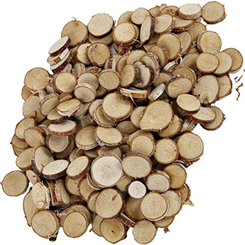 Holzscheiben Astscheiben 200 Sück Birkenscheiben Ø 1-3 cm Baumscheiben Bastelholz von holzalbum