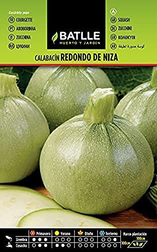 Batlle vegetable seeds - Courgette redondo de Niza (Seeds) von Semillas Batlle