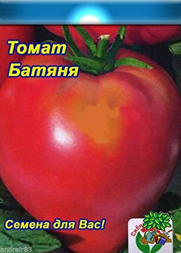 Portal Cool Samen von Tomate Batyanya 20 Samen sibirischen Garten Tomatenmark Tomaten Batjanja S0333 von Portal Cool