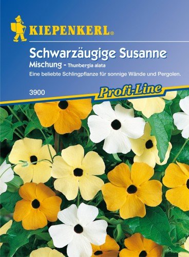 Schwarzäugige Susanne, Mix