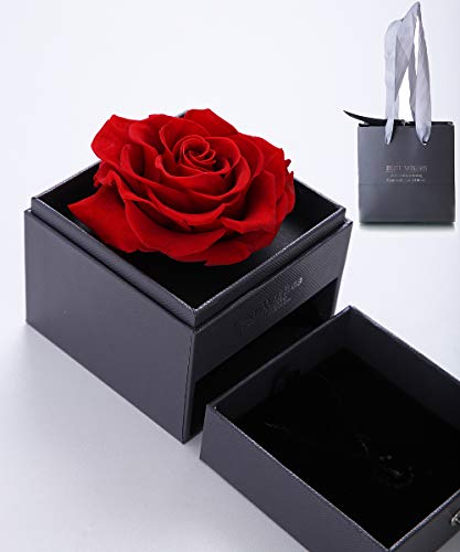 huaao Ewige Rose Schönheit und das Biest Handgemachte konservierte Blumen Rose Schmuck Geschenkbox für Frauen Geschenk für Sie Hochzeit Valentinstag Muttertag Geburtstag romantische Jahrestag von huaao