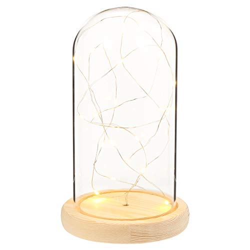 ibasenice Feuerbaum-silbernes Blumen-nachtlicht Blumenrose Lampe Led Tischleuchte Hochzeits Dekoration Verzauberte Blumenlampe Hochzeitdeko Desk Decoration Vase Glas Schreibtisch von ibasenice