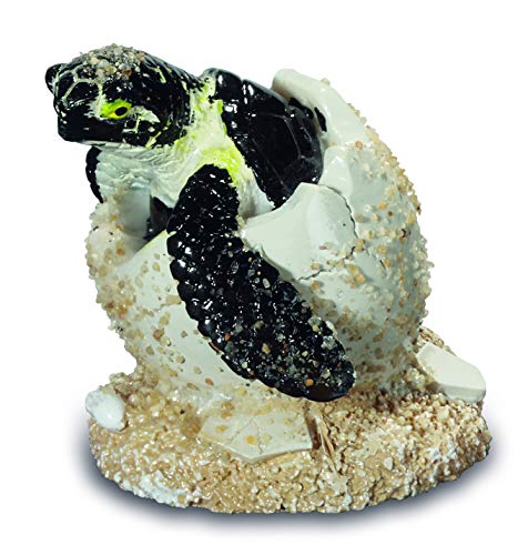 Dekofigur Schildkröte aus Kunstharz, Ei auf Sand 5,5/4,5/3,5 cm (b) von impexit
