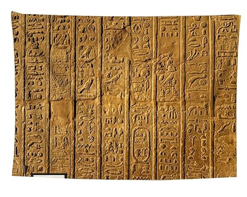 izielad Ägyptischer Wandteppich Hieroglyphische Schnitzereien Tapisserie Wandbehang Bettlaken Decke Wandkunst für Schlafzimmer Wohnzimmer Schlafsaal 100X150CM 39.3X59IN von izielad