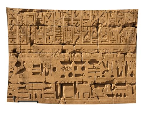izielad Ägyptischer Wandteppich Hieroglyphische Schnitzereien Wandteppich Hippie Hippie böhmischen Wandteppich für Schlafzimmer Wohnheim Dekor 100X150CM 39.3X59IN von izielad