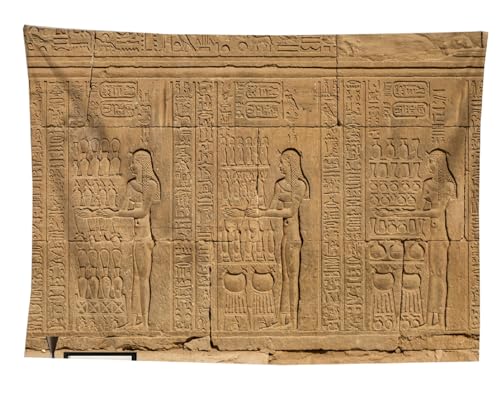 izielad Ägyptischer Wandteppich altes Ägypten Mythologie Wandbehang ägyptische Götter Pharaonen Hieroglyphen Schnitzereien Wandteppich Wanddekoration für Schlafzimmer 73X95CM 28.7X37.4IN von izielad