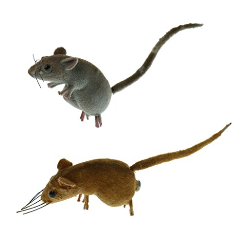 joyMerit 2 Stück realistische Maus Skulptur lebensechte Mäuse Ornament Tier Statuen für Outdoor Garten Rasen Dekor von joyMerit