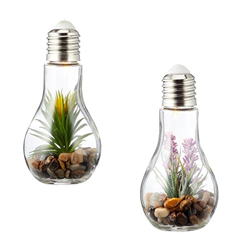 levandeo 2er Set Sukkulenten LED Glühbirne Glas B x H: 8x19cm Deko Lampe Kunstpflanze Grün Hängelampe Tischdeko von levandeo