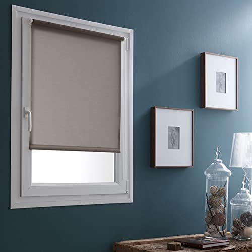 Fensterrollo, lichtdurchlässig, ohne Bohren – Spitzmaus – L 41 x H 170 cm von MADECOSTORE