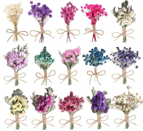 mengger 15Pcs Bündel Getrocknete Blumenstrauß Deko Klein Natürliche Trockenblumen Natürliche Blumen Getrocknete Set DIY-Arrangement für Kunst Bastel Scrapbooking Zufällige Stil von mengger